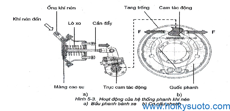 co-cau-hoat-dong-phanh-khi-nen