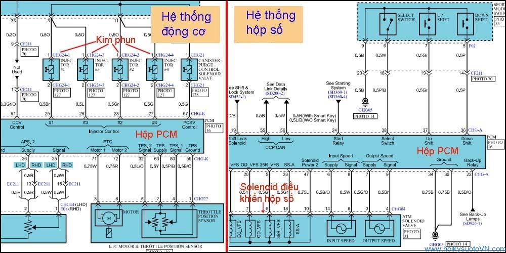 phân biệt PCM hay ECM