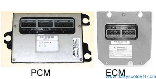 PCM và ECM