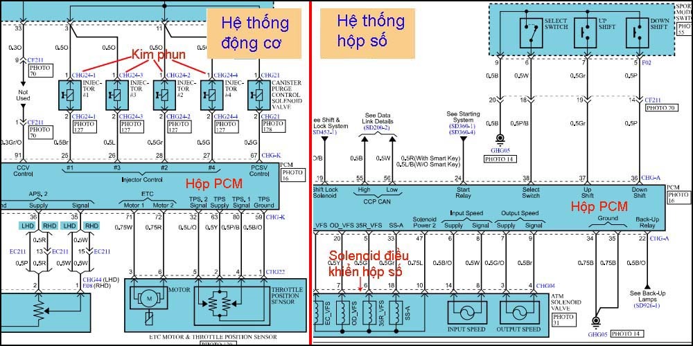 phân biệt PCM hay ECM