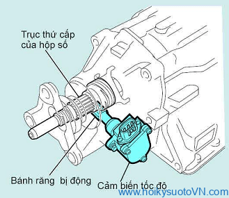 cam-bien-toc-do-xe-oto (3)